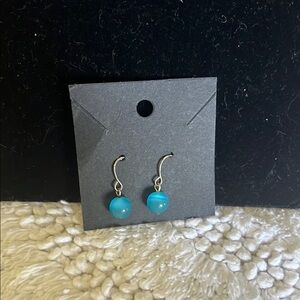 Elegant Blue Drop Earrings